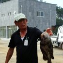 낚시천국 이미지