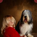 캣츠앤독스 이미지