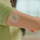 핏에스나인 이미지