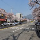 중원적산 이미지