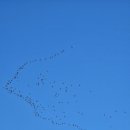 우리방앗간 이미지