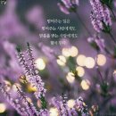 믿음 이미지