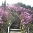 원미공원 이미지