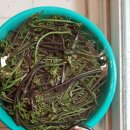 명현농장 이미지