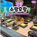 소랑 | 강릉역 감성 숙소 소랑호랑 호텔 | 시그니처 스파룸 솔직후기 (조식/어메니티)