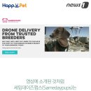 펫배달 이미지