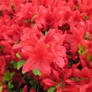 화서문로타리 이미지