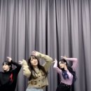 스텝백신발 이미지