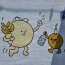 술빚기, 시음 가능한 제주 필수코스 카페술도가제주바당