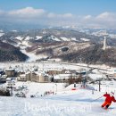 알펜시아 리조트 이미지