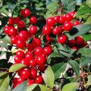 황제세탁소 이미지