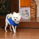 살미농장 이미지