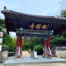 2박3일 커플경주여행코스 : 신라복추천, 대릉원포토존, 경주중앙시장맛집, 월정교, 불국사, 숙소 추천