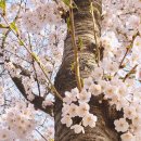 소사유통 이미지