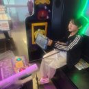 코끼리게임장 이미지