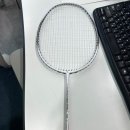 초등 배드민턴 2 | 초등학생 딸아이 입문용으로 딱! 가성비 좋은 아펙스 나노퓨전스피드 725 배드민턴 라켓 후기