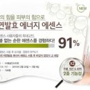 푸른에너지 - 시흥시 수인로 2722 | 푸른에너지