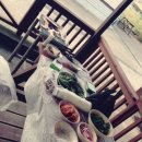 미림펜션 네이버블로그