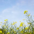 동명당한의원 이미지