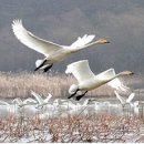 가장 평범(平凡)한 노년(老年)의 슬기 이미지