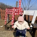 채이농장 이미지