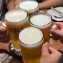 대관령옛길 | 7월 여름, 알레버스타고 대관령옛길 다녀왔어요 🌞 | 호카모자 런 햇 후기