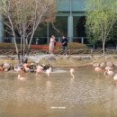 (기획투어)미식순천 이미지