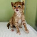 완장천로384번길 이미지