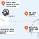 플루건