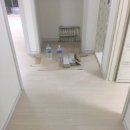 광명상재 이미지
