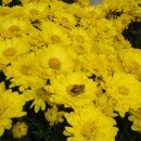 다사랑미용실 이미지