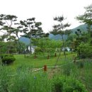 양달캠핑장 이미지