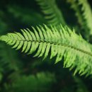 일산리더스요양병원 이미지