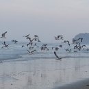 무진펜션 이미지