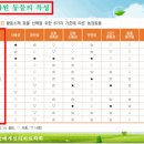 자원 오리성 이미지