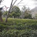 비밀의 정원 이미지