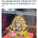 홈런볼 Daum카페
