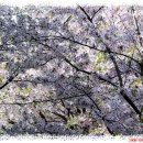 남양목장 이미지