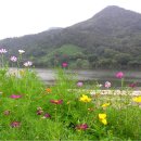 소풍관광농원 이미지