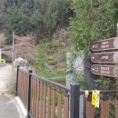 팔공산녹색길 숲길 1코스 이미지