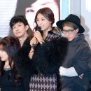 보라 이미지