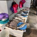 부산시수협자갈치수산물위판장 | 경북포항 수산물시장 내돈내산구매추천 해산물후기 포항죽도 수협위판장 전복문어오징어