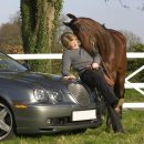 SUN MOTORS 이미지