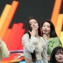 달링 이미지