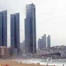 엘시티