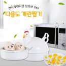 꼬꼬계란 - 남구 | 전자레인지 계란찜기 반숙 가능할까? 꼬꼬 달걀찜기 실제 사용 후기