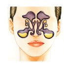 닥터차한의원 이미지