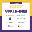 프로멀티짐