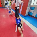 우주태권도체육관 이미지