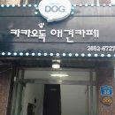 애견#(샾) 이미지